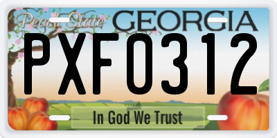 GA license plate PXF0312