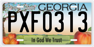 GA license plate PXF0313