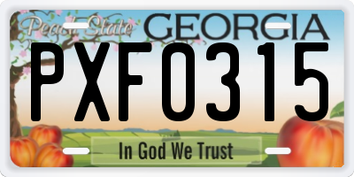 GA license plate PXF0315