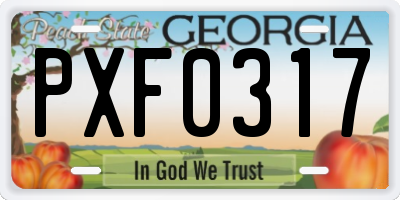 GA license plate PXF0317