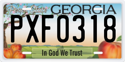 GA license plate PXF0318