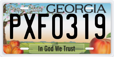 GA license plate PXF0319