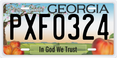 GA license plate PXF0324