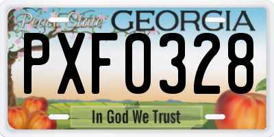 GA license plate PXF0328