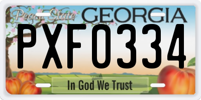 GA license plate PXF0334