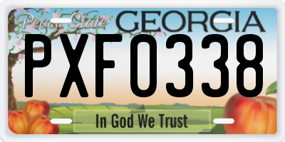 GA license plate PXF0338