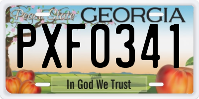 GA license plate PXF0341