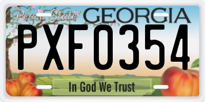 GA license plate PXF0354