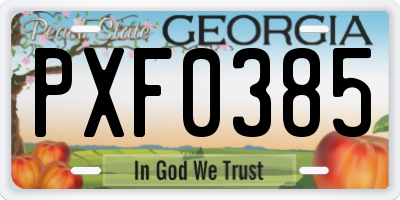 GA license plate PXF0385