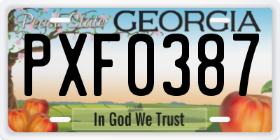 GA license plate PXF0387