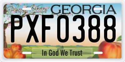 GA license plate PXF0388