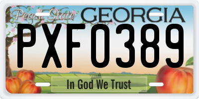 GA license plate PXF0389