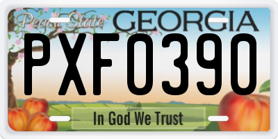 GA license plate PXF0390