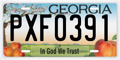 GA license plate PXF0391