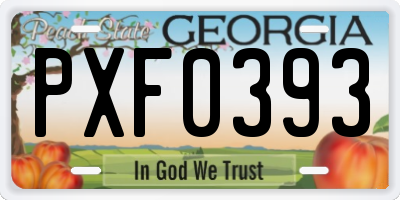 GA license plate PXF0393