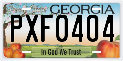 GA license plate PXF0404