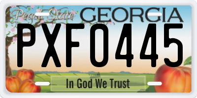 GA license plate PXF0445