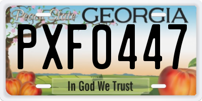 GA license plate PXF0447