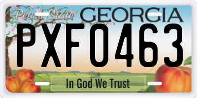 GA license plate PXF0463