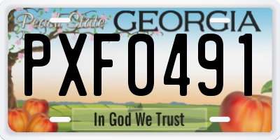 GA license plate PXF0491
