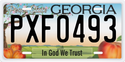 GA license plate PXF0493