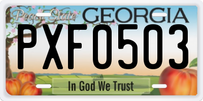 GA license plate PXF0503