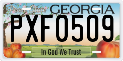 GA license plate PXF0509