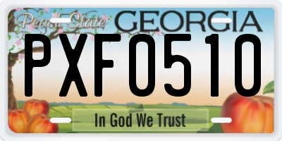 GA license plate PXF0510
