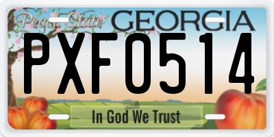 GA license plate PXF0514