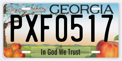 GA license plate PXF0517