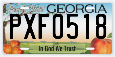 GA license plate PXF0518
