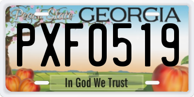 GA license plate PXF0519