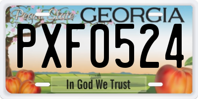 GA license plate PXF0524