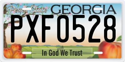 GA license plate PXF0528