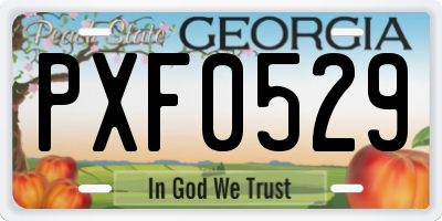 GA license plate PXF0529