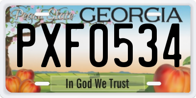 GA license plate PXF0534
