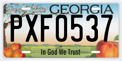 GA license plate PXF0537