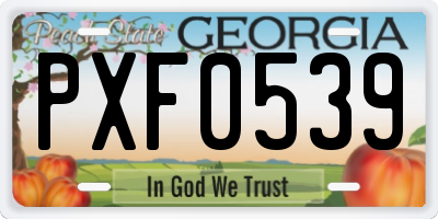 GA license plate PXF0539