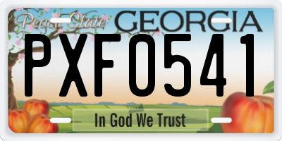GA license plate PXF0541