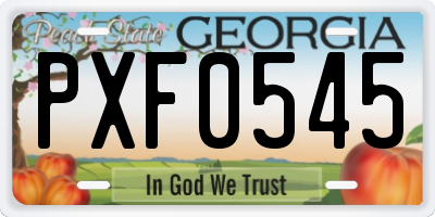 GA license plate PXF0545