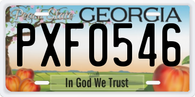 GA license plate PXF0546