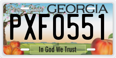 GA license plate PXF0551