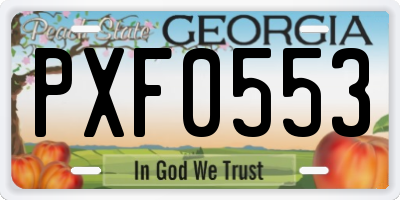 GA license plate PXF0553