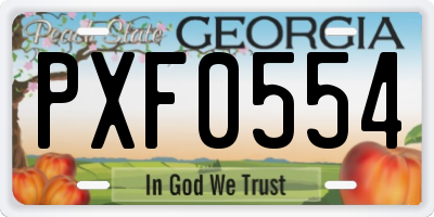 GA license plate PXF0554