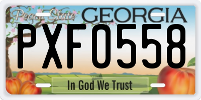 GA license plate PXF0558