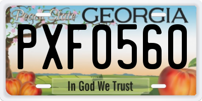 GA license plate PXF0560