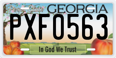 GA license plate PXF0563
