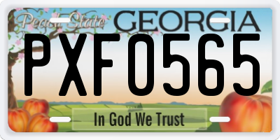 GA license plate PXF0565