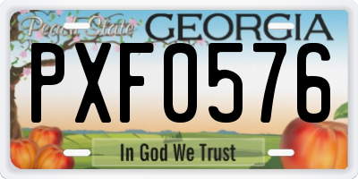 GA license plate PXF0576