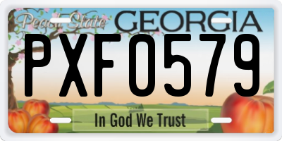 GA license plate PXF0579